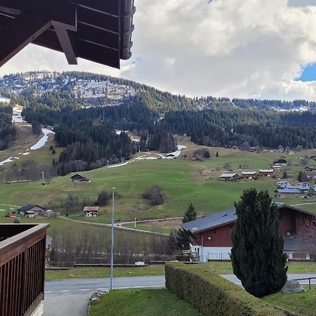 Appartement 1 Chambre Avec Garage Praz-sur-Arly Buitenkant foto
